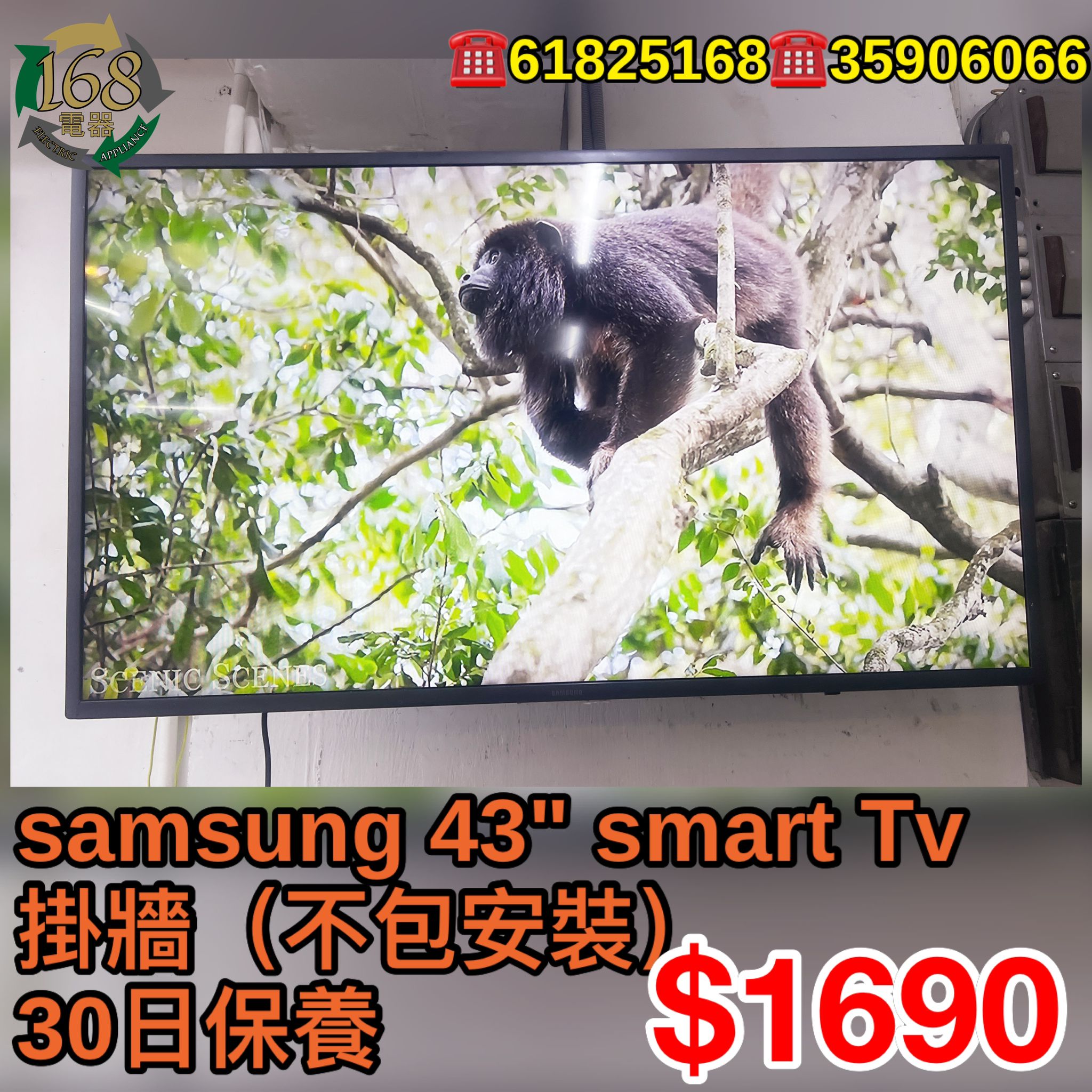 #256 SAMSUNG 43" SMART TV